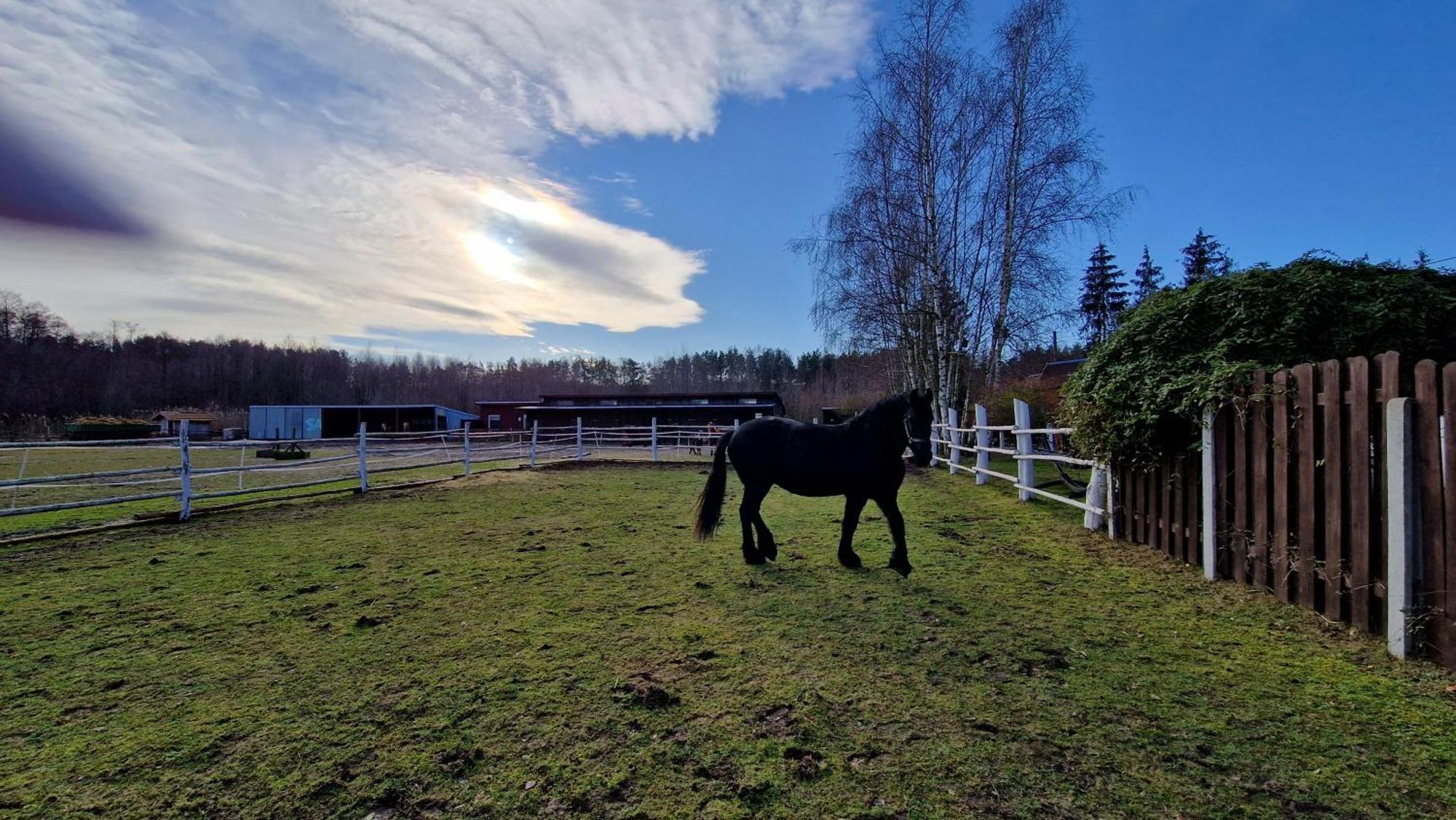 Rancho Colorado Villa Trzciel Bagian luar foto