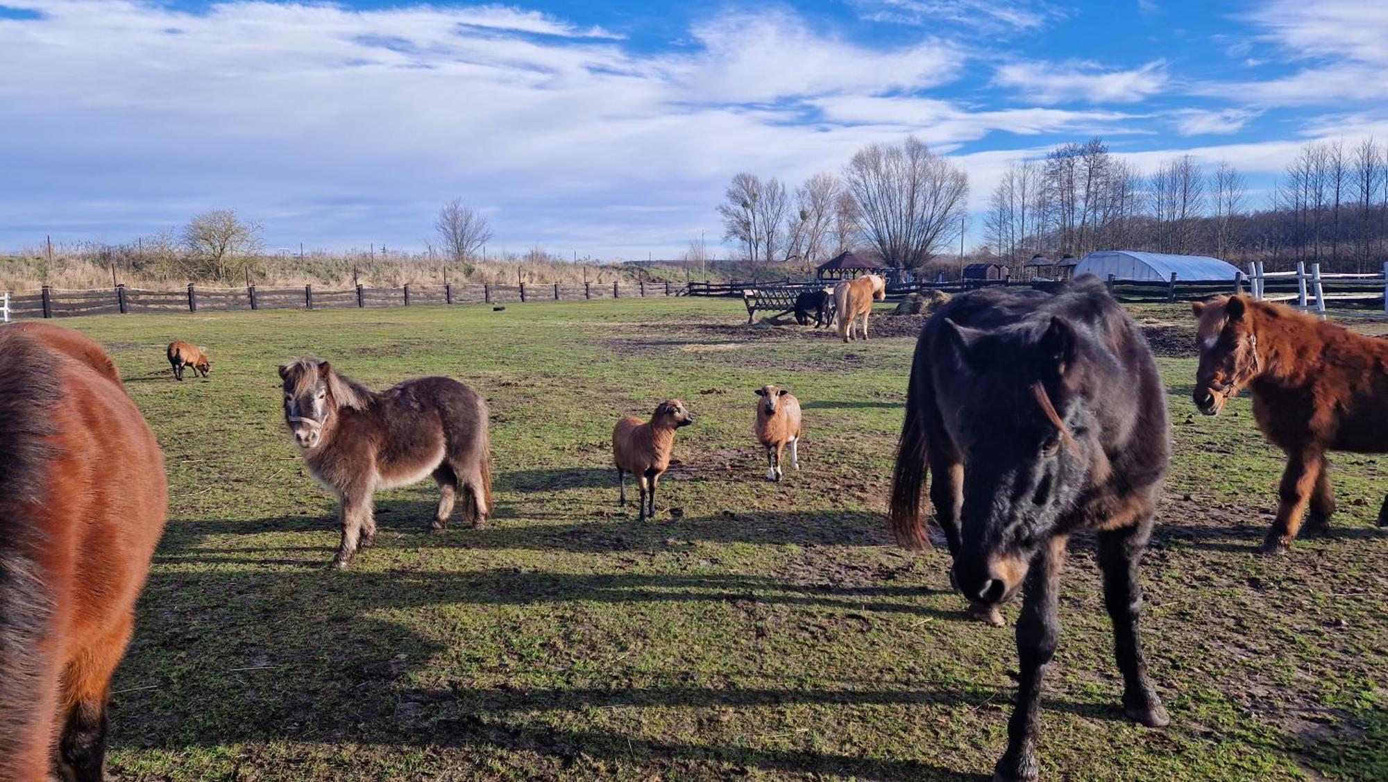 Rancho Colorado Villa Trzciel Bagian luar foto