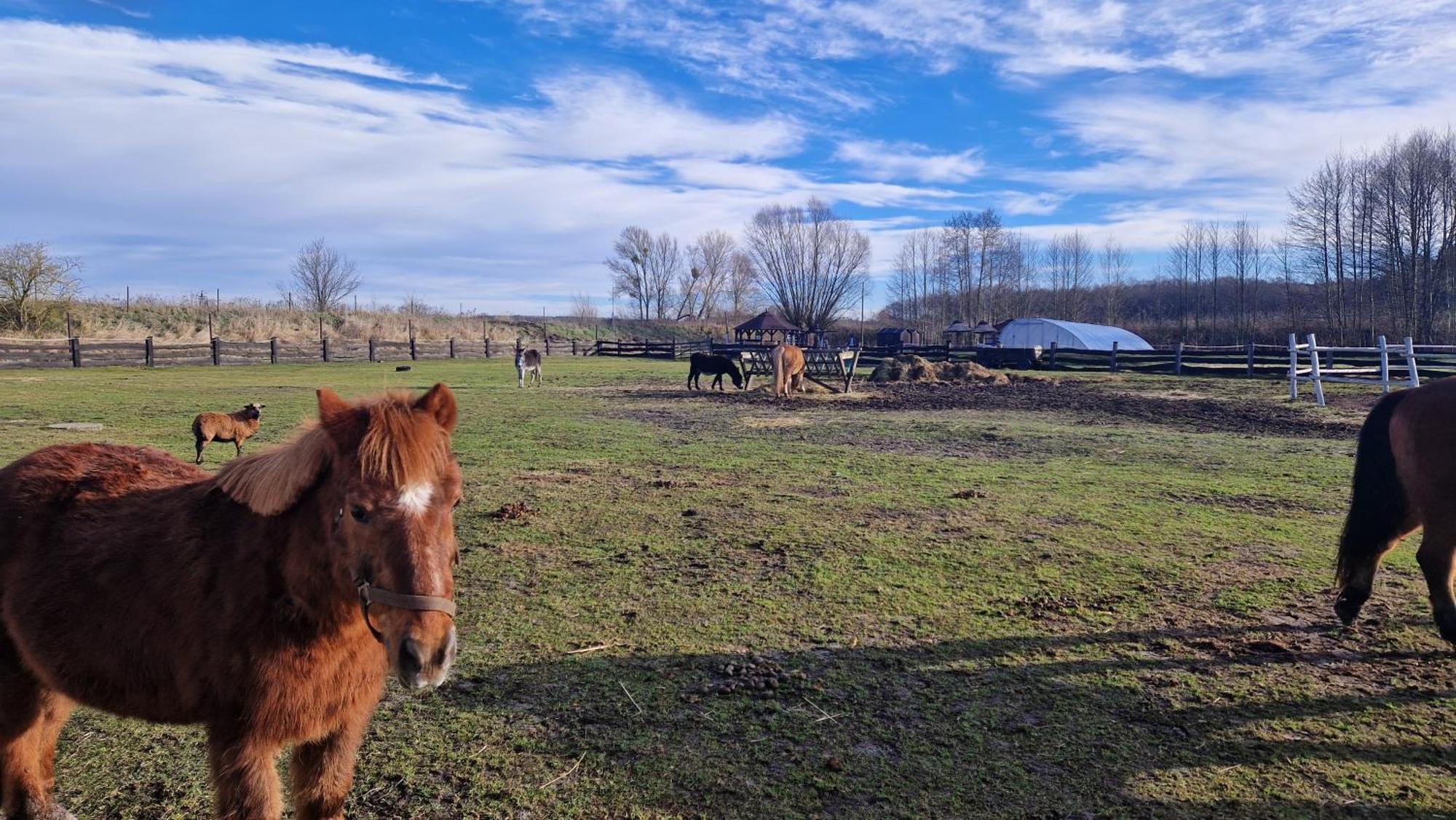 Rancho Colorado Villa Trzciel Bagian luar foto