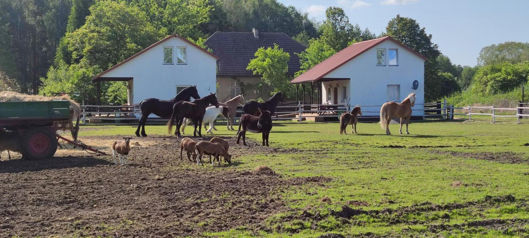 Rancho Colorado Villa Trzciel Bagian luar foto