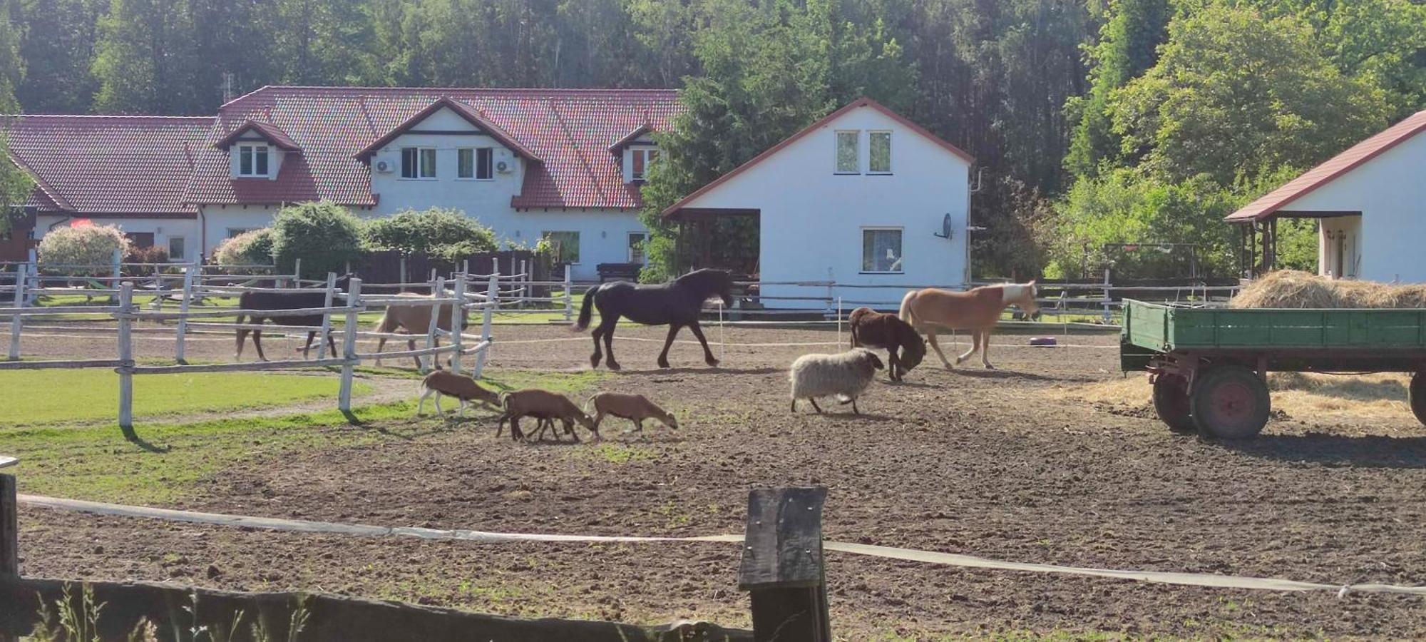 Rancho Colorado Villa Trzciel Bagian luar foto